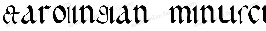 Carolingian minuscul字体转换